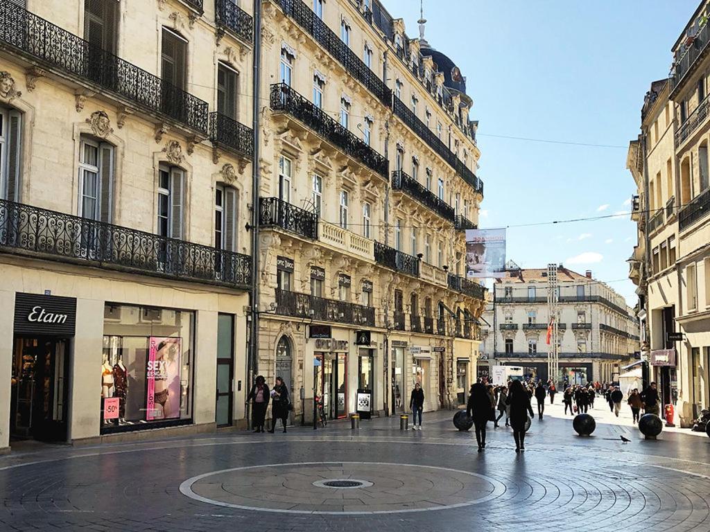 Le Havre De Paix Montpellierain - Terrasse Et Parking Prive 아파트 외부 사진