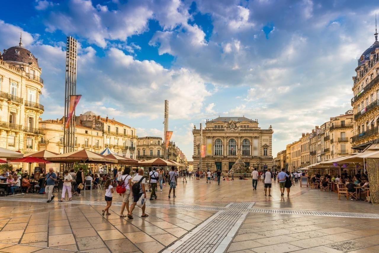 Le Havre De Paix Montpellierain - Terrasse Et Parking Prive 아파트 외부 사진
